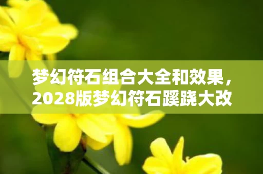 梦幻符石组合大全和效果,2028版梦幻符石蹊跷大改!老玩家直呼,这波操作太意外! 梦幻符石组合大全和效果,2028版梦幻符石蹊跷大改!老玩家直呼,这波操作太意外!
