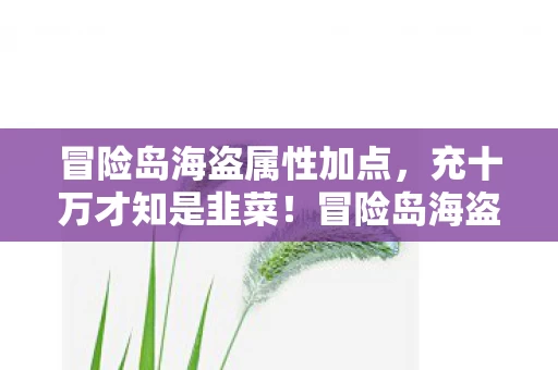 冒险岛海盗属性加点，充十万才知是韭菜！冒险岛海盗隐藏消费坑得我钱包吓一跳