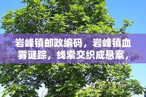 岩峰镇邮政编码，岩峰镇血雾谜踪，线索交织成悬案，毛骨悚然真相待揭