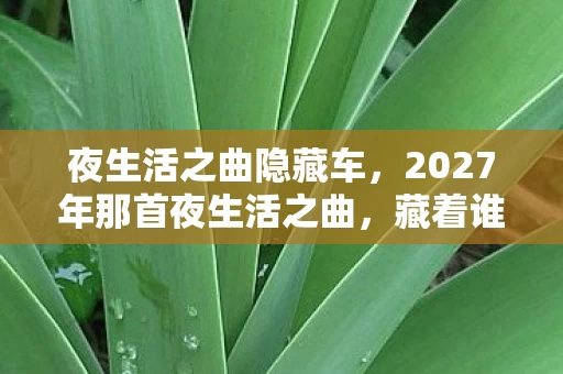 夜生活之曲隐藏车，2027年那首夜生活之曲，藏着谁未赴的约，让人鼻子一酸
