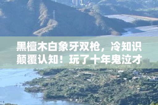黑檀木白象牙双枪，冷知识颠覆认知！玩了十年鬼泣才知黑檀木白象牙真相，令人目瞪口呆！