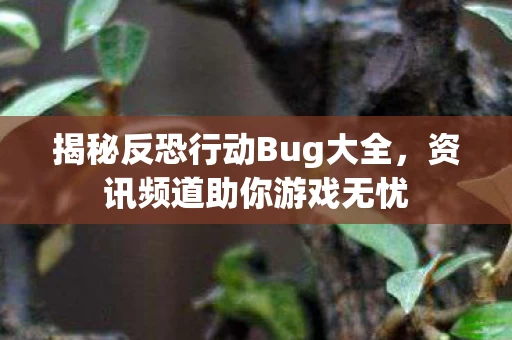 揭秘反恐行动Bug大全图片