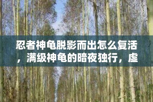 忍者神龟脱影而出怎么复活,满级神龟的暗夜独行,虚拟王座与现实深渊的悖论震颤 忍者神龟脱影而出怎么复活,满级神龟的暗夜独行,虚拟王座与现实深渊的悖论震颤