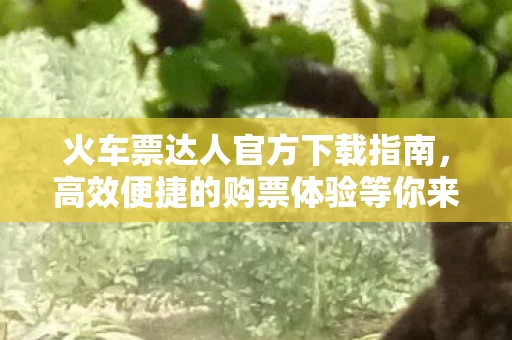 高效便捷的购票体验等你来体验 V2图片