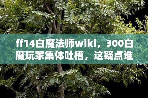 ff14白魔法师wiki，300白魔玩家集体吐槽，这疑点谁绷得住？FF14还能这么玩？