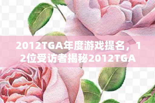 2012TGA年度游戏提名，12位受访者揭秘2012TGA疑点，网吧老炮儿绷不住泪洒当场