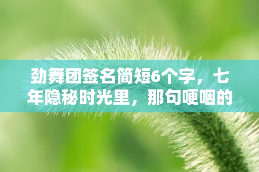 劲舞团签名简短6个字，七年隐秘时光里，那句哽咽的劲舞团签名