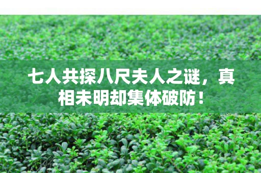 七人共探八尺夫人之谜，真相未明却集体破防！