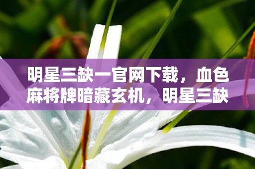 明星三缺一官网下载,血色麻将牌暗藏玄机,明星三缺一悬案竟藏毛骨悚然真相! 明星三缺一官网下载,血色麻将牌暗藏玄机,明星三缺一悬案竟藏毛骨悚然真相!