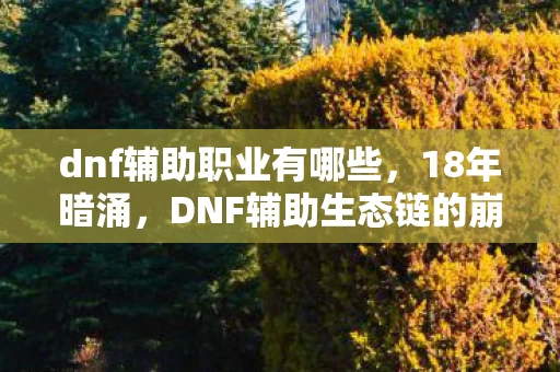 dnf辅助职业有哪些，18年暗涌，DNF辅助生态链的崩塌与重生泪目实录