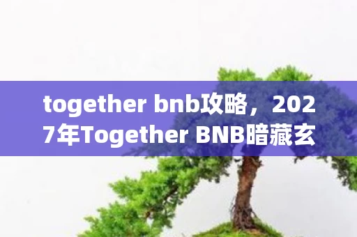 together bnb攻略，2027年Together BNB暗藏玄机，沉默背后，是救赎还是深渊？