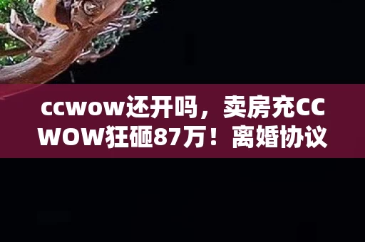 ccwow还开吗，卖房充CCWOW狂砸87万！离婚协议藏惊天隐情，看完吓出一身冷汗！