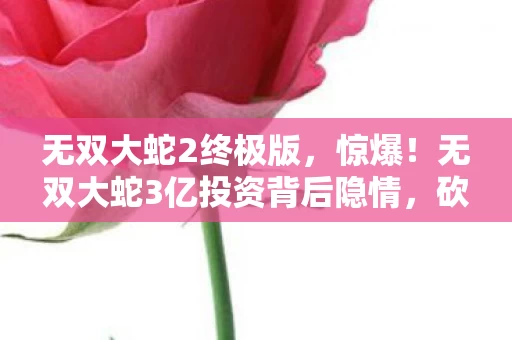 无双大蛇2终极版，惊爆！无双大蛇3亿投资背后隐情，砍玩法决策让人吓一跳！