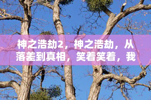 神之浩劫2,神之浩劫,从落差到真相,笑着笑着,我竟哭了自己 神之浩劫2,神之浩劫,从落差到真相,笑着笑着,我竟哭了自己