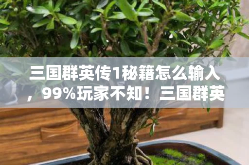 三国群英传1秘籍怎么输入，99%玩家不知！三国群英传1这隐藏机制，竟让新手秒变战神？