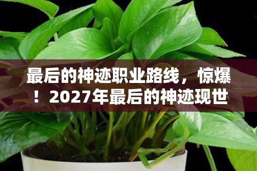 最后的神迹职业路线,惊爆!2027年最后的神迹现世,神秘力量将颠覆世界? 最后的神迹职业路线,惊爆!2027年最后的神迹现世,神秘力量将颠覆世界?