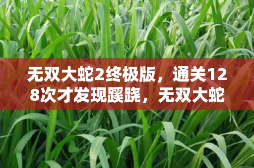无双大蛇2终极版,通关128次才发现蹊跷,无双大蛇2的真相让我后背发凉 无双大蛇2终极版,通关128次才发现蹊跷,无双大蛇2的真相让我后背发凉