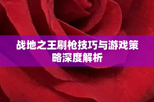 战地之王刷枪技巧与游戏策略深度解析图片