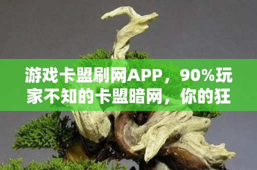 游戏卡盟刷网APP，90%玩家不知的卡盟暗网，你的狂欢，是否正被99%的沉默吞噬？