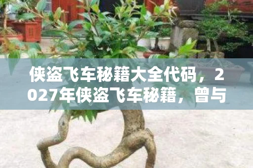 侠盗飞车秘籍大全代码,2027年侠盗飞车秘籍,曾与你共赴江湖,如今只剩鼻子一酸的回忆 侠盗飞车秘籍大全代码,2027年侠盗飞车秘籍,曾与你共赴江湖,如今只剩鼻子一酸的回忆