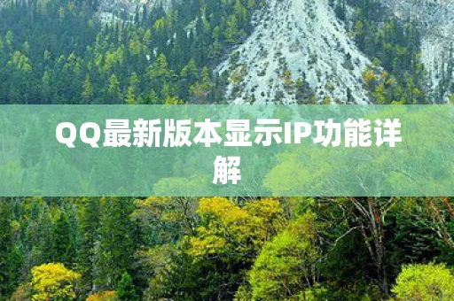 QQ最新版本显示IP功能详解图片