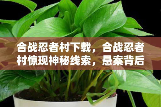 合战忍者村下载,合战忍者村惊现神秘线索,悬案背后竟藏毛骨悚然真相! 合战忍者村下载,合战忍者村惊现神秘线索,悬案背后竟藏毛骨悚然真相!