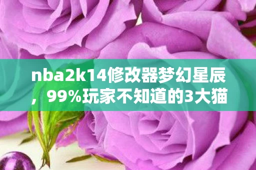 nba2k14修改器梦幻星辰,99%玩家不知道的3大猫腻!这修改器坑钱套路比哈登碰瓷还上头 nba2k14修改器梦幻星辰,99%玩家不知道的3大猫腻!这修改器坑钱套路比哈登碰瓷还上头