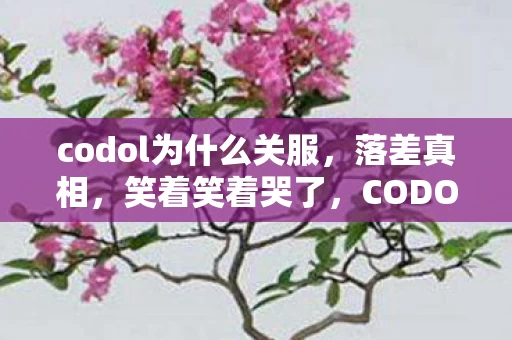 codol为什么关服,落差真相,笑着笑着哭了,CODOL退坑誓言总成空 codol为什么关服,落差真相,笑着笑着哭了,CODOL退坑誓言总成空