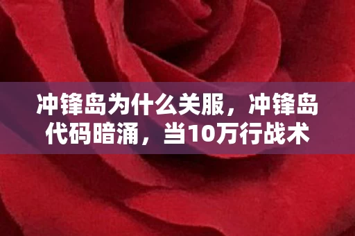 冲锋岛为什么关服,冲锋岛代码暗涌,当10万行战术指令成为我最后的社交铠甲,头皮发麻的真相竟是…… 冲锋岛为什么关服,冲锋岛代码暗涌,当10万行战术指令成为我最后的社交铠甲,头皮发麻的真相竟是……