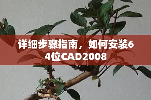 如何安装64位CAD2008图片