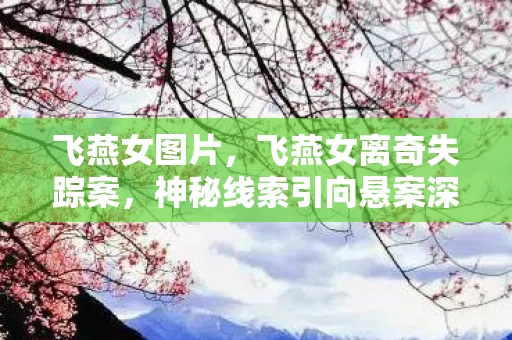 飞燕女图片，飞燕女离奇失踪案，神秘线索引向悬案深渊，真相令人毛骨悚然！