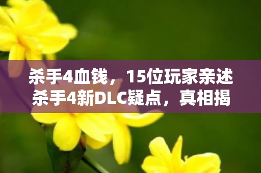 杀手4血钱,15位玩家亲述杀手4新DLC疑点,真相揭晓时我直接绷不住了! 杀手4血钱,15位玩家亲述杀手4新DLC疑点,真相揭晓时我直接绷不住了!