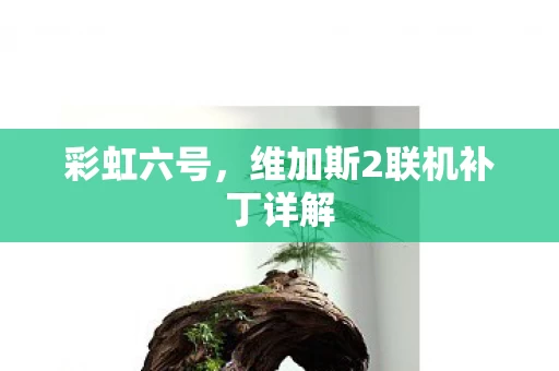 维加斯2联机补丁详解图片