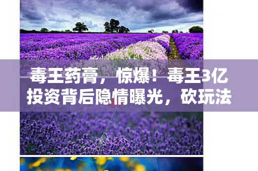 毒王药膏，惊爆！毒王3亿投资背后隐情曝光，砍玩法时众人吓一跳！