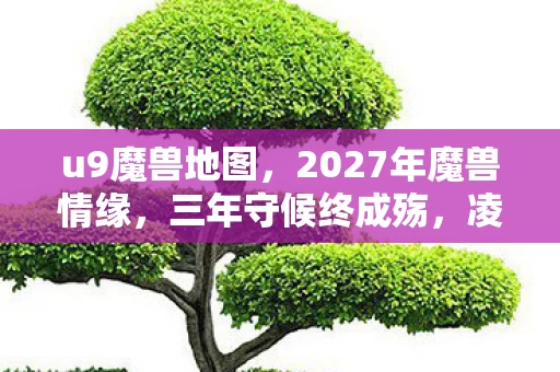 u9魔兽地图，2027年魔兽情缘，三年守候终成殇，凌晨三点聊天记录让人鼻子一酸