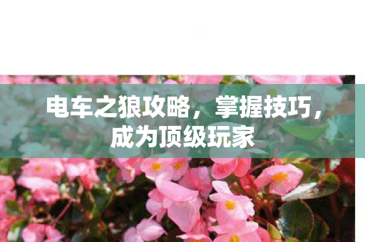 电车之狼攻略图片