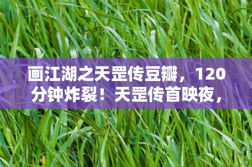 画江湖之天罡传豆瓣,120分钟炸裂!天罡传首映夜,90后为何集体泪崩? 画江湖之天罡传豆瓣,120分钟炸裂!天罡传首映夜,90后为何集体泪崩?