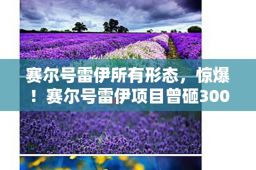 赛尔号雷伊所有形态,惊爆!赛尔号雷伊项目曾砸3000万,背后隐情让人吓一跳! 赛尔号雷伊所有形态,惊爆!赛尔号雷伊项目曾砸3000万,背后隐情让人吓一跳!