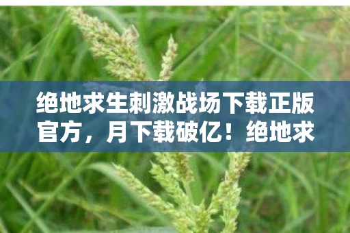 绝地求生刺激战场下载正版官方,月下载破亿!绝地求生刺激战场数据狂飙背后的3大产业地震与1个暴利真相 绝地求生刺激战场下载正版官方,月下载破亿!绝地求生刺激战场数据狂飙背后的3大产业地震与1个暴利真相