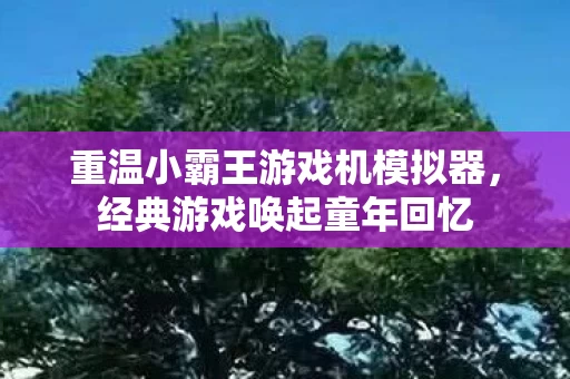 重温小霸王游戏机模拟器图片