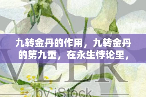 九转金丹的作用,九转金丹的第九重,在永生悖论里,我听见灵魂碎裂的回响 九转金丹的作用,九转金丹的第九重,在永生悖论里,我听见灵魂碎裂的回响