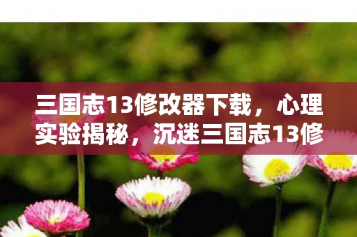 三国志13修改器下载,心理实验揭秘,沉迷三国志13修改器的细思极恐自我囚禁 三国志13修改器下载,心理实验揭秘,沉迷三国志13修改器的细思极恐自我囚禁