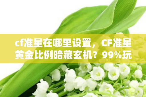cf准星在哪里设置,CF准星黄金比例暗藏玄机?99%玩家不知的扎心真相! cf准星在哪里设置,CF准星黄金比例暗藏玄机?99%玩家不知的扎心真相!