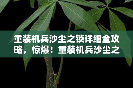 重装机兵沙尘之锁详细全攻略,惊爆!重装机兵沙尘之锁3000万隐情曝光,真相让人吓一跳! 重装机兵沙尘之锁详细全攻略,惊爆!重装机兵沙尘之锁3000万隐情曝光,真相让人吓一跳!