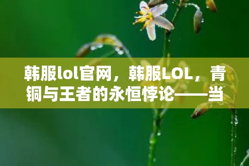 韩服lol官网，韩服LOL，青铜与王者的永恒悖论——当自由意志撞碎命运的齿轮