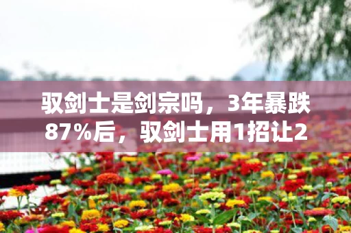 驭剑士是剑宗吗,3年暴跌87%后,驭剑士用1招让200万玩家集体破防,这波情怀杀竟藏着暴利新蓝海? 驭剑士是剑宗吗,3年暴跌87%后,驭剑士用1招让200万玩家集体破防,这波情怀杀竟藏着暴利新蓝海?