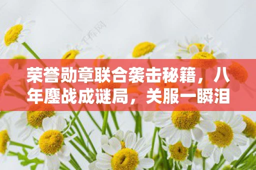 荣誉勋章联合袭击秘籍,八年鏖战成谜局,关服一瞬泪目空——我的勋章终成绝响 荣誉勋章联合袭击秘籍,八年鏖战成谜局,关服一瞬泪目空——我的勋章终成绝响