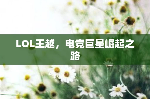 电竞巨星崛起之路图片