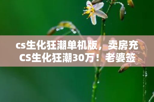 cs生化狂潮单机版,卖房充CS生化狂潮30万!老婆签离婚协议那刻,我才知自己多疯 cs生化狂潮单机版,卖房充CS生化狂潮30万!老婆签离婚协议那刻,我才知自己多疯