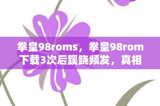 拳皇98roms，拳皇98rom下载3次后蹊跷频发，真相揭晓后背发凉！